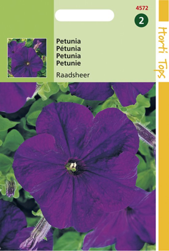 Petunia Alderman - 2000 seeds HT